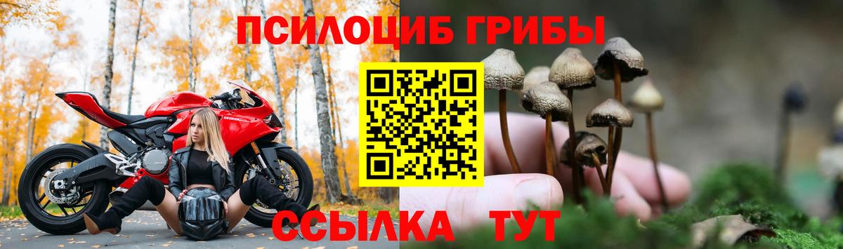 Иваново  наркота  Вход с VPN  Псилоцибиновые грибы MAGIC MUSHROOMS 